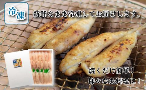 ふぐ 一夜干し 1kg セット 大容量 冷凍 小ふぐ シロサバフグ 高タンパク コラーゲン 低脂肪