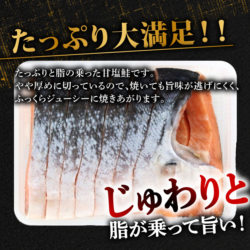 甘塩 銀鮭 切身 1.2kg 冷凍 片身分 鮭 サーモン 切り身 指定日可 下関 山口