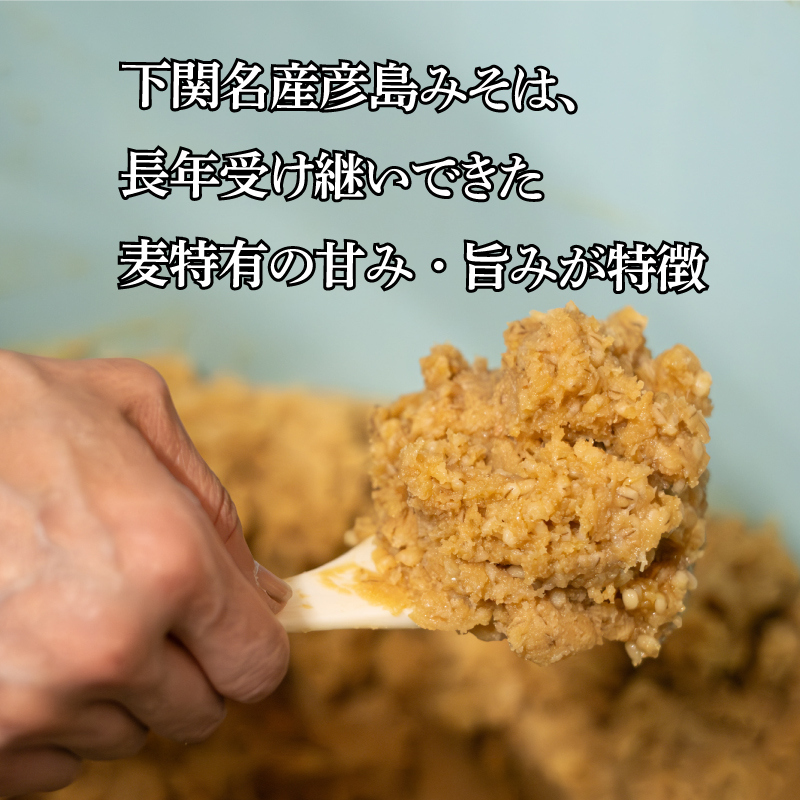 味噌 麦みそ 900g × 2袋 計 1.8kg みそ 調味料 発酵食品 【容量：1.8kg】