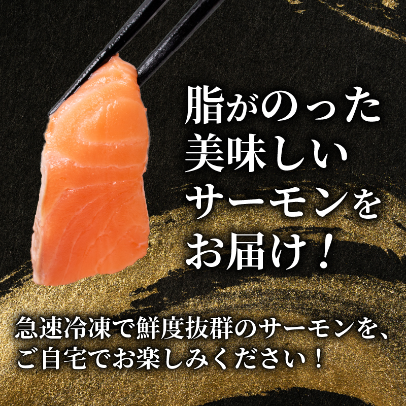 訳あり サーモンブロック 800g 冷凍 唐戸仲卸協同組合 下関 山口