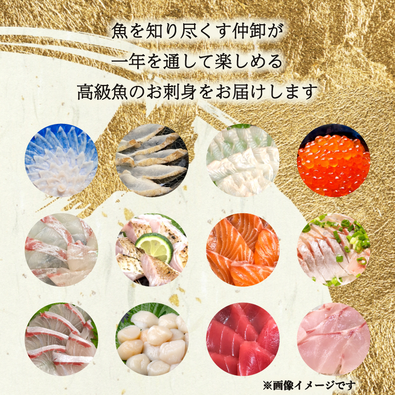 定期便 4回 唐戸市場直送 お刺身 各2人前 冷凍 下関 山口