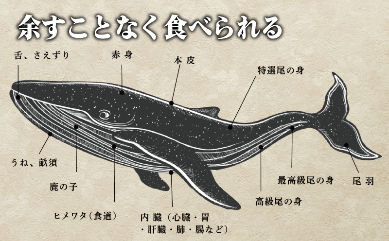 鯨の詰合せ 下関鯨屋日新丸 鯨 くじら クジラ 高級 刺身 珍味 父の日 母の日 お中元 お歳暮 年末 年始 ギフト プレゼント 贈り物 贈答 感謝 レア 唐揚げ ベーコン ダイエット 高たんぱく 低カロリー