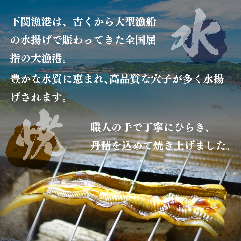 あなごめし 2個セット 冷凍 下関 山口