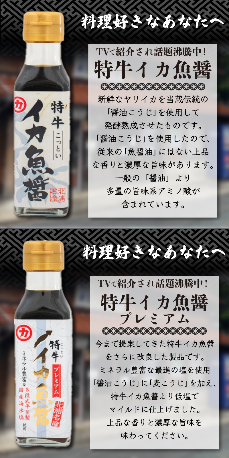 特牛イカ魚醤 セット