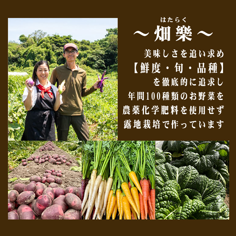 【定期便5ヶ月】旬の 野菜 詰め合わせ