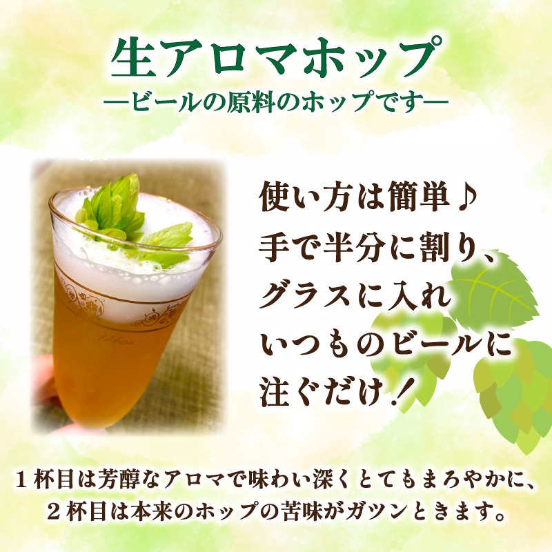 生ホップ ～ビールに浮かべて～【2026年6月中旬～7月中旬発送】