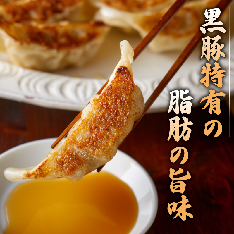 訳あり 霧島黒豚肉100％ 肉餃子 120個 冷凍 12個×10パック 小分け 冷凍餃子 大容量餃子 国産原料餃子 簡単調理餃子 ぎょうざ ギョーザ