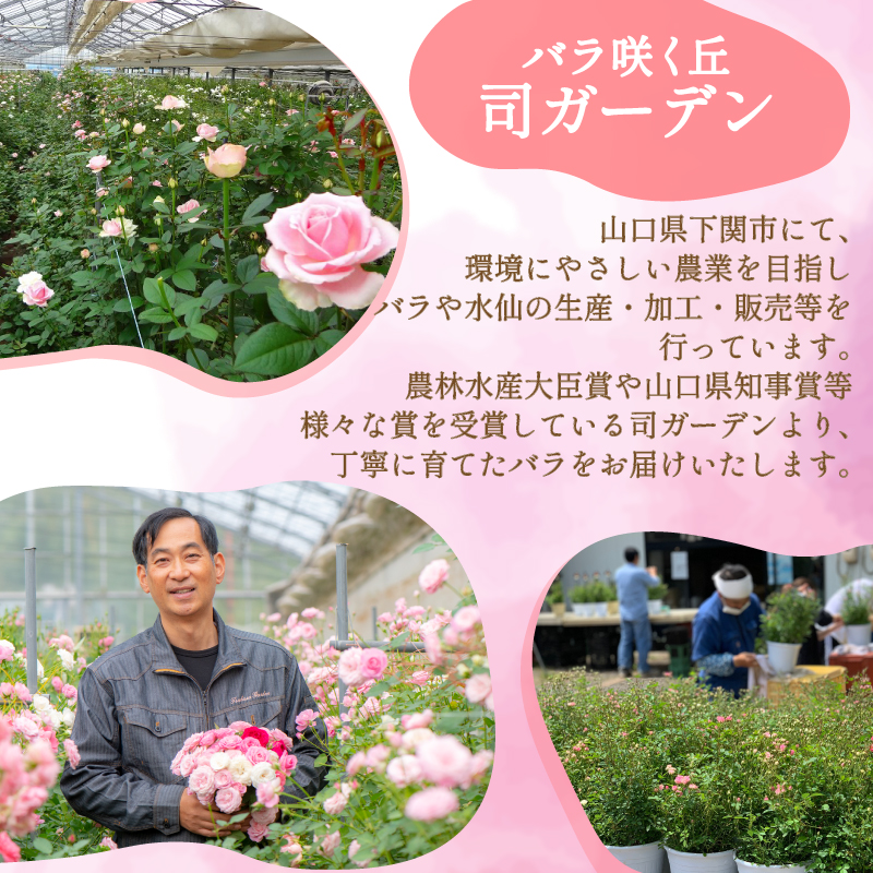 バラ 花束 100本 赤 下関 山口 赤 100本