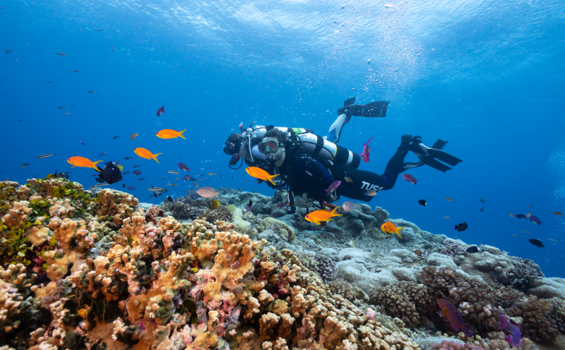 ファン ダイブ 2ダイブ 1名様分 ビーチ スポーツ マリンスポーツ アクティビティ 下関 山口