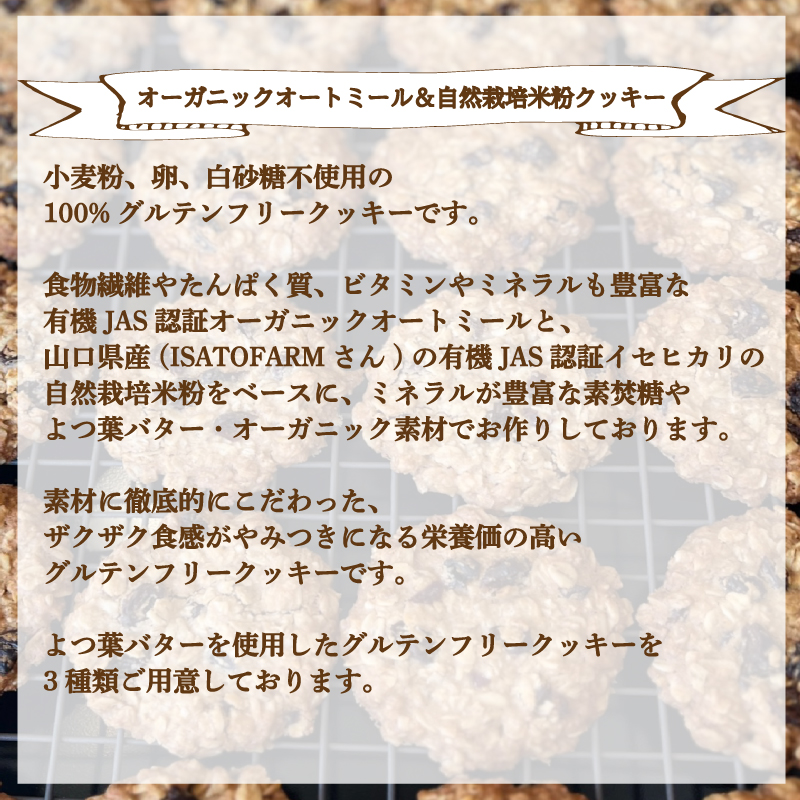 クッキー セット 20枚 20枚