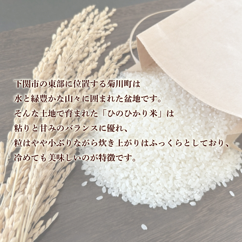 令和7年度産 ひのひかり 5kg 米 1回お届け：5kg