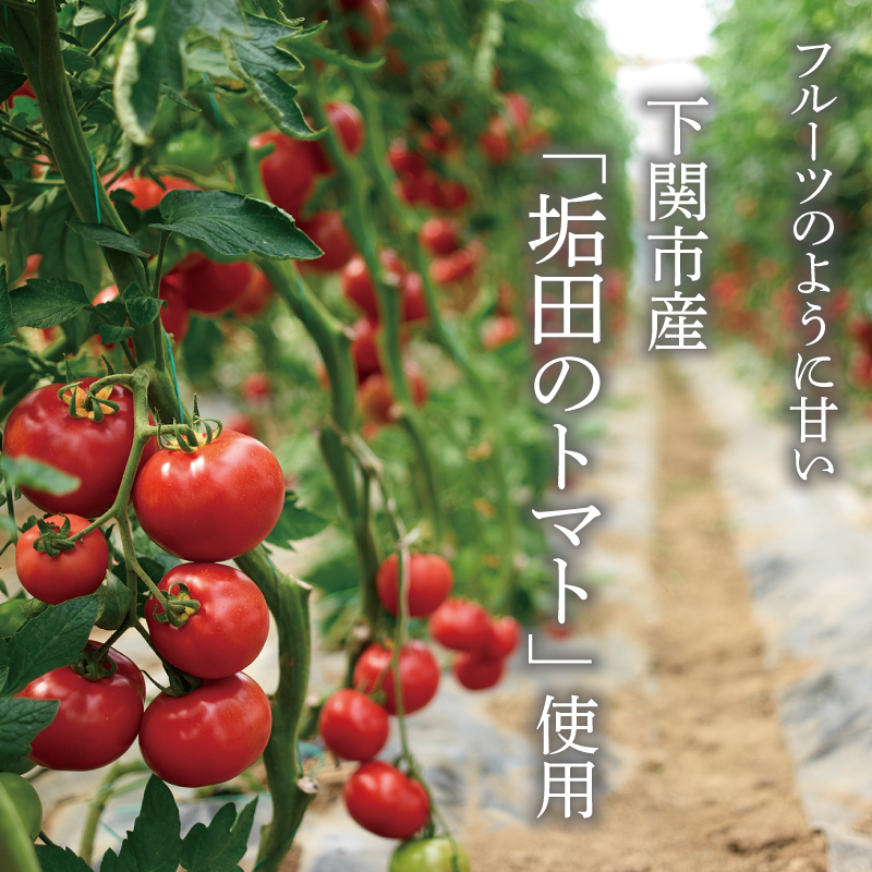 垢田トマト トラフグ スープ 4袋 セット 下関 山口