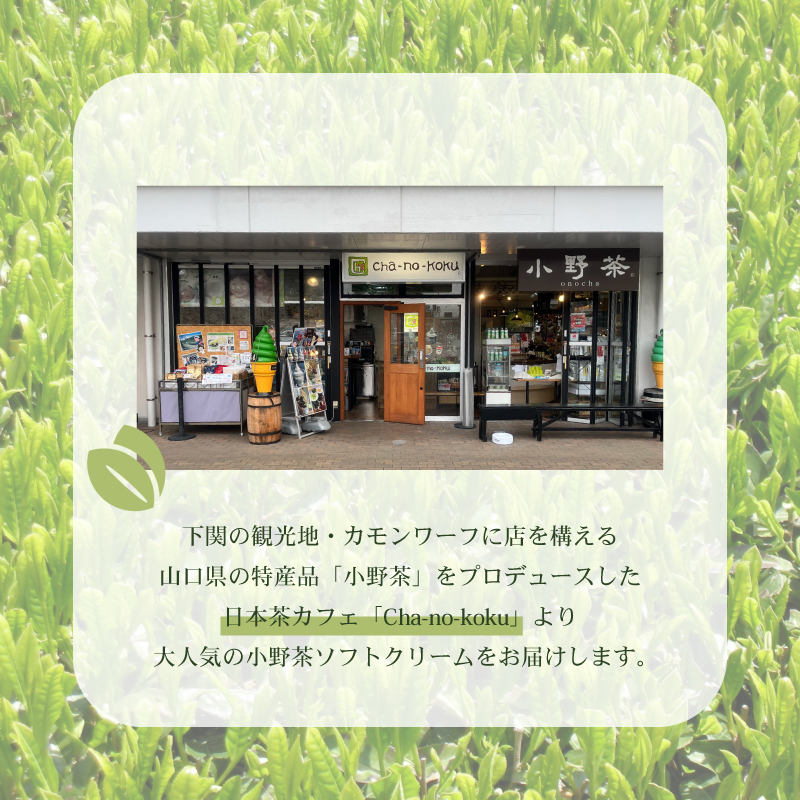小野茶 ソフトクリーム 6個