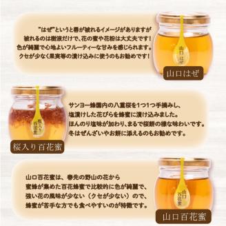 はちみつ 国産 蜂蜜漬け セット 570g ( 95g×6種 ) 山口県産 下関