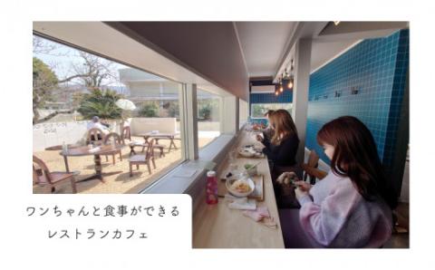 ペア 宿泊券 朝食付き 2名 ペット 犬 いぬ 古民家 リゾート レストラン ドッグラン 山口 下関 角島 観光 絶景 犬と泊まれる ペットと泊まれる