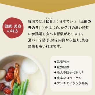 参鶏湯 ( サムゲタン ) 風 スープ 400g×6個 セット 下関 山口