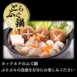 とらふぐ 刺身 鍋 一汐干し セット 2人前 冷凍 フグ 河豚 魚介 海鮮 下関市 山口県