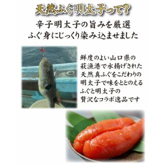 天然 ふぐ 明太子 3パック 下関 山口