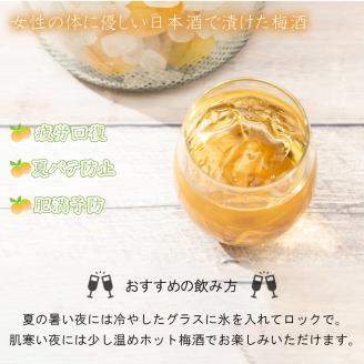 梅の酒 リキュール 500ml × 2本 日本酒 梅酒 フルーティー 下関 山口