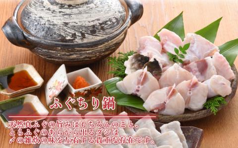 とらふぐ 身皮しゃぶしゃぶとふぐちり鍋セット 2?3人前 【冷凍】