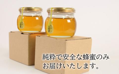 【国産はちみつ】山口百花蜜190g