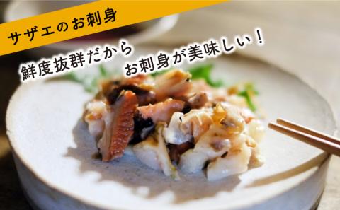 サザエ 1kg 冷凍 下関 北浦 産地直送 貝