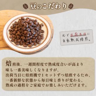 【中挽き】訳あり コーヒー豆 1kg ( 500g × 2袋 ) ベトナム 再入荷 2024年度入荷分 出荷当日 自家焙煎 スペシャルティコーヒー 数量限定 珈琲 コーヒー 下関 山口 EW145-C