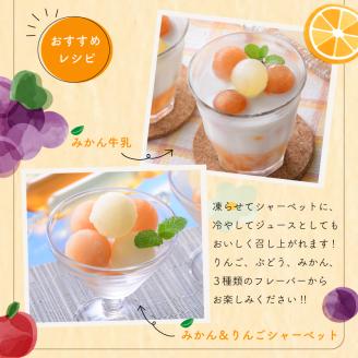 森のくだもの屋さん 果汁100％棒ジュース