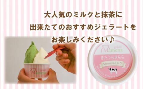 Mamena おすすめ8種が入った ジェラートおまかせ8個セット