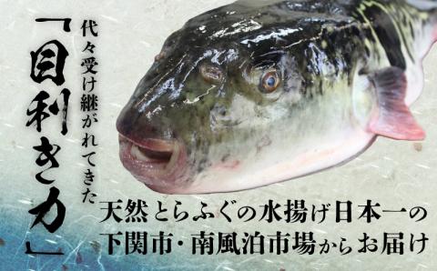 とらふぐ 鍋セット 5-6人前 800g 冷凍 ちり鍋 海鮮鍋 下関市 山口県