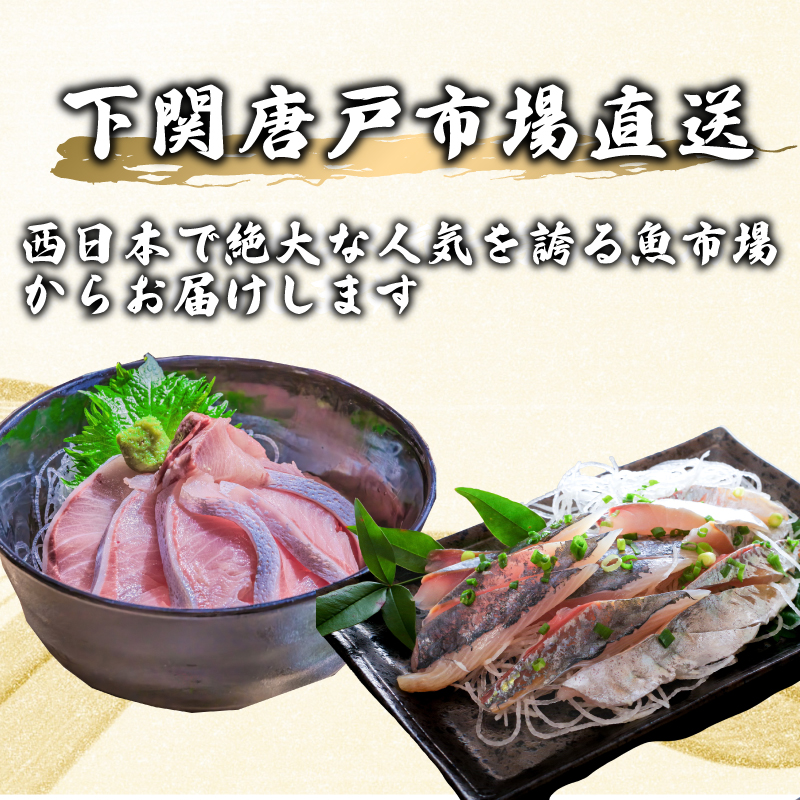 【年6回】唐戸市場直送 高級お刺身 定期便 各2人前