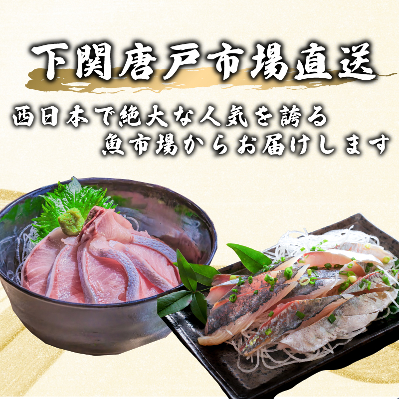 定期便 年12回 毎月 唐戸市場直送 高級お刺身 各2人前 ( 高級 鮮魚 魚介 海 冷凍 小分け 定期便 お楽しみ 人気 刺身 刺し身 さしみ お手軽 解凍するだけ 地魚 産地直送 ヒラメ いくら イクラ タイ のどぐろ サーモン アジ ホタテ ほたて マグロ まぐろ定期便) 下関 山口県