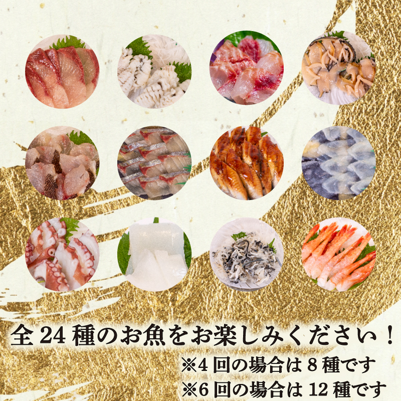 定期便 4回 唐戸市場直送 お刺身 各2人前 冷凍 下関 山口