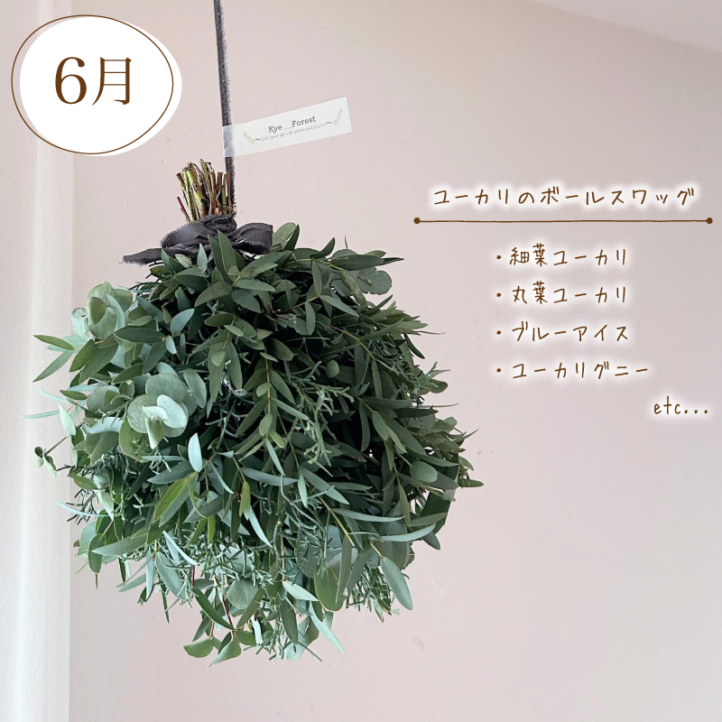 【定期便4回】 季節の草木花 スワッグ リース