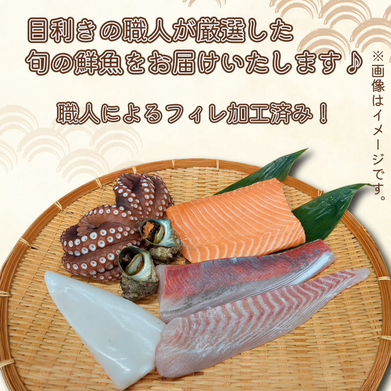 鮮魚 フィレ加工