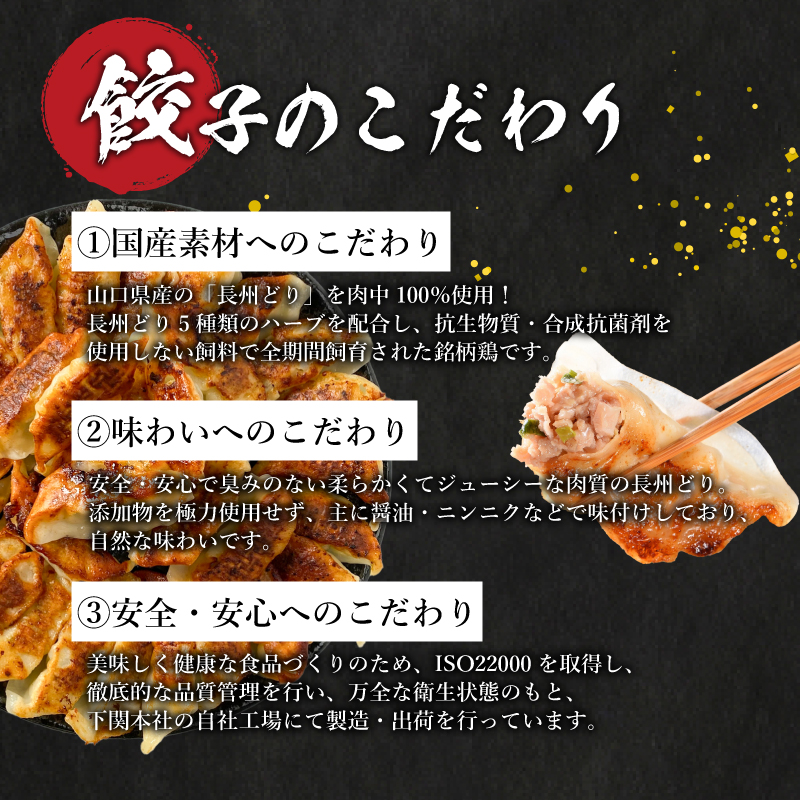 訳あり 長州どり餃子 6回 毎月 定期便 180個 12個×15パック 冷凍 長州どり餃子【毎月発送】180個× 6回