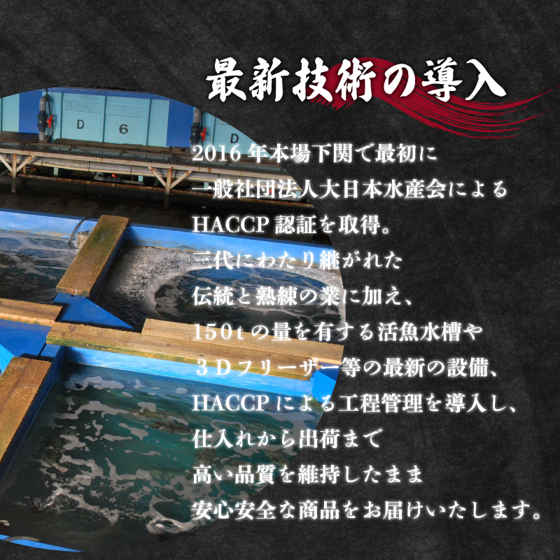 国産天然とらふぐ鍋セット 5～6人前