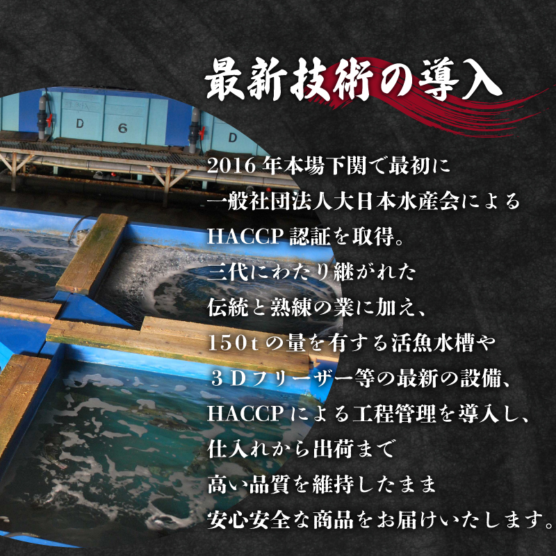 ふぐ満腹セット 3人前 冷凍