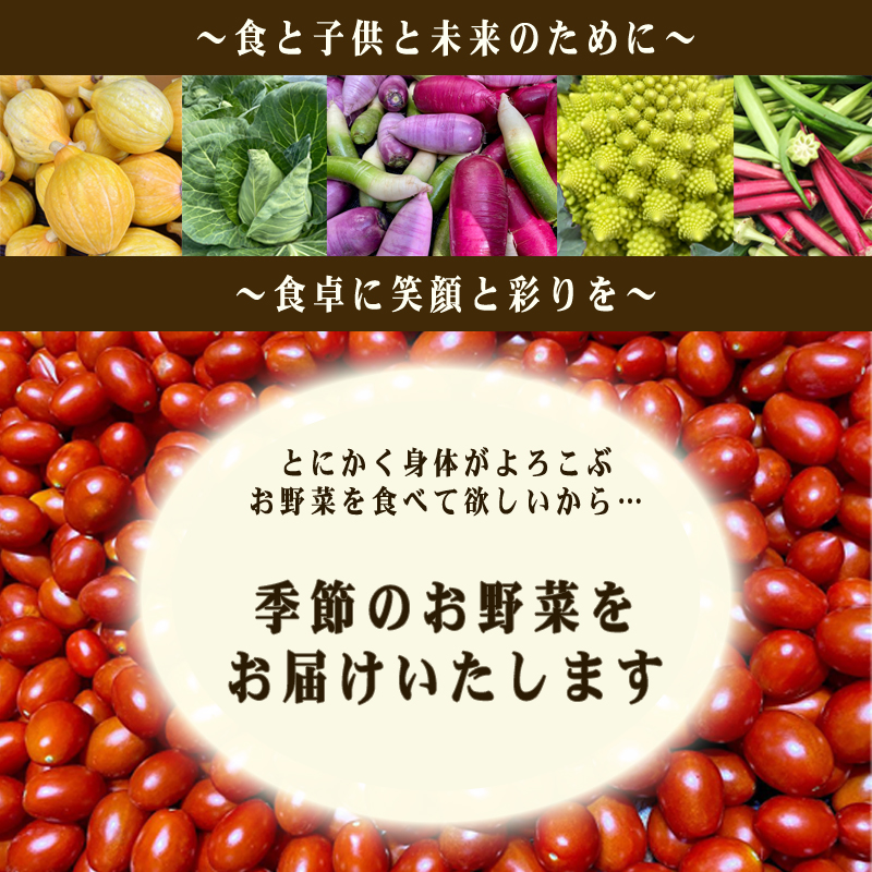 【定期便5ヶ月】旬の 野菜 詰め合わせ