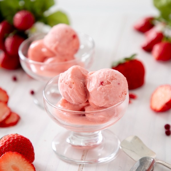 DOLLIE ジェラート 6個入り