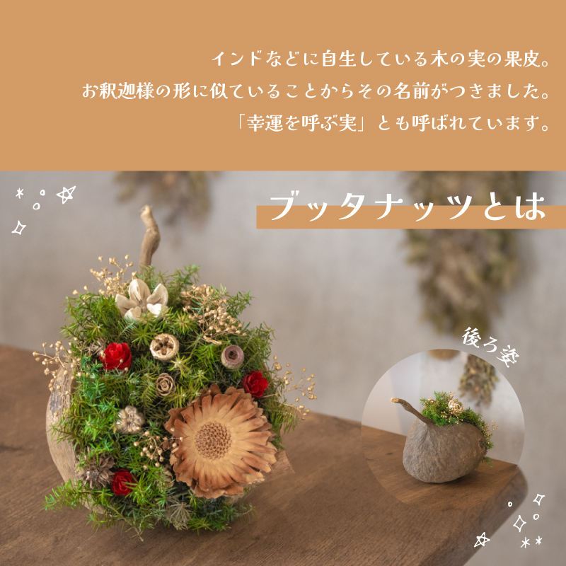 クリスマス ブッダナッツアレンジメント ブッダナッツアレンジメント