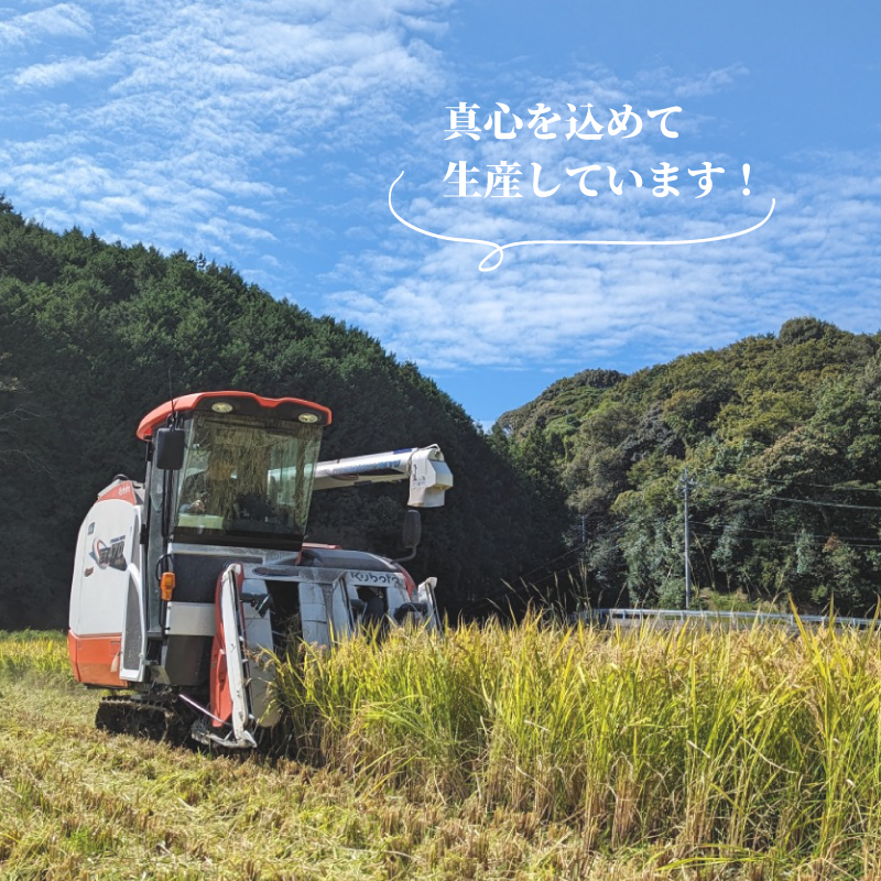 令和7年度産 ひのひかり 10kg 米 1回お届け：10kg