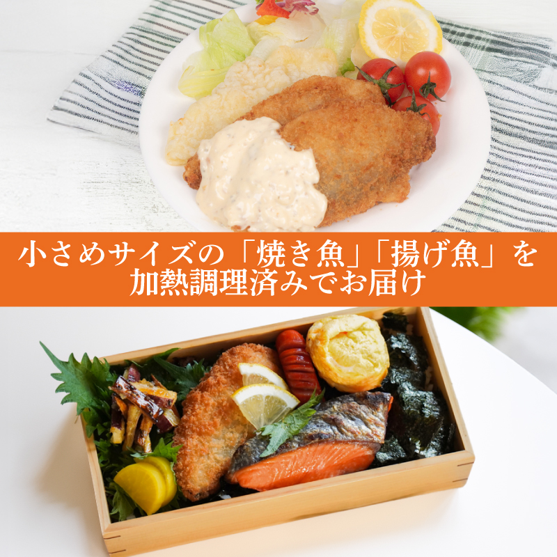 お弁当 お惣菜 5種 セット 冷凍 銀鮭 鯖 塩焼き アジフライ 白身天ぷら いわし揚げタレ漬け