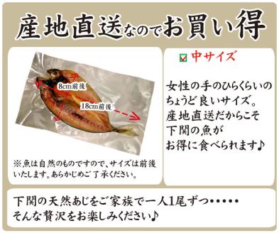 下関産天然あじ一汐干し70ｇ×３パック