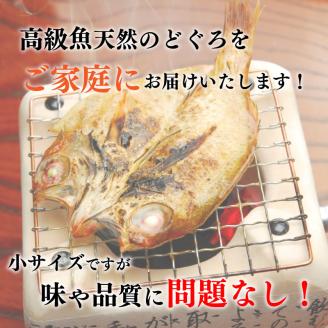 訳あり のどぐろ開き干し 9尾 冷凍 小分け 小サイズ 干物 ノドグロ あかむつ 高級魚 海鮮 惣菜 下関