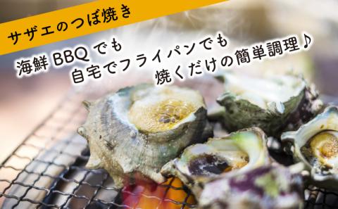 サザエ 1kg 冷凍 下関 北浦 産地直送 貝