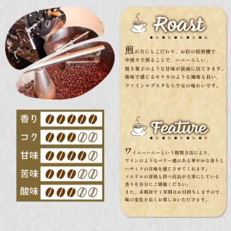 【細挽き】訳あり コーヒー豆 1kg ( 500g × 2袋 ) ベトナム 再入荷 2024年度入荷分 出荷当日 自家焙煎 スペシャルティコーヒー 数量限定 珈琲 コーヒー 下関 山口 EW145-D