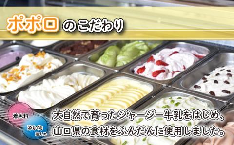 角島ジェラート ポポロ　アイス ジェラート 6種 6個 セット