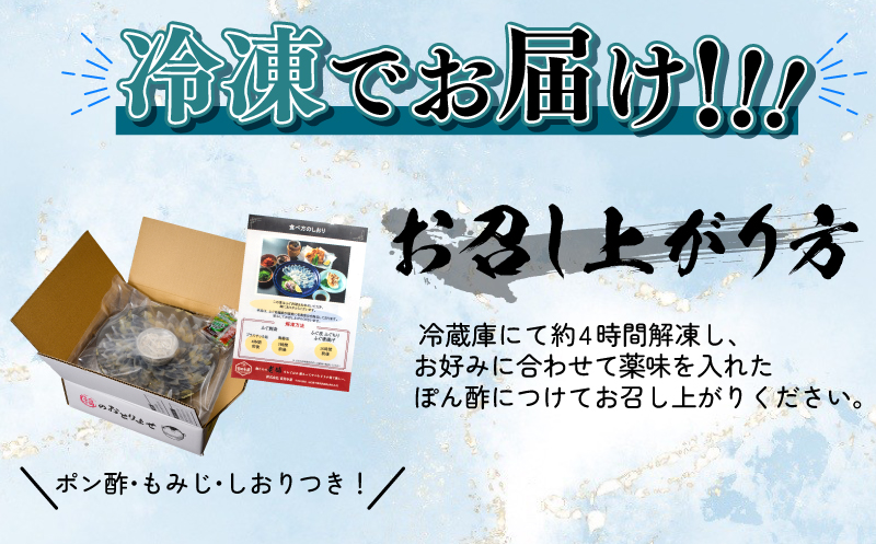 とらふぐ刺身 4-5人前 計180g 冷凍 高級魚 海鮮 魚介 河豚 フグ刺し 本場 下関市 山口県