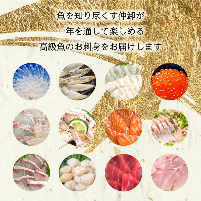 【年6回】唐戸市場直送 高級お刺身 定期便 各2人前